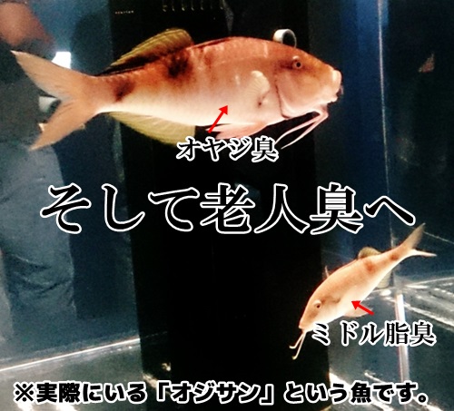 オジサンの臭い
